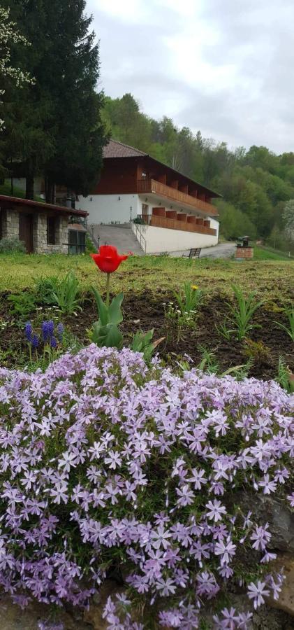 B&B Zlatna Nit Bosanska Krupa Exteriör bild